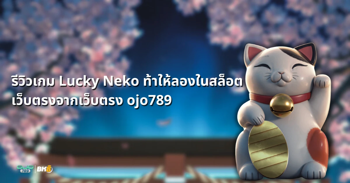 lucky neko